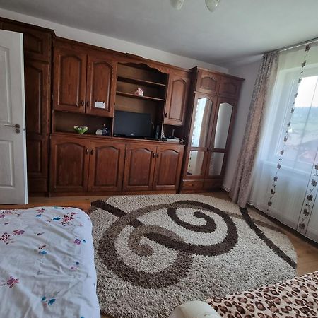 Apartamento Garsoniera Emilia Câmpulung Moldovenesc Exterior foto
