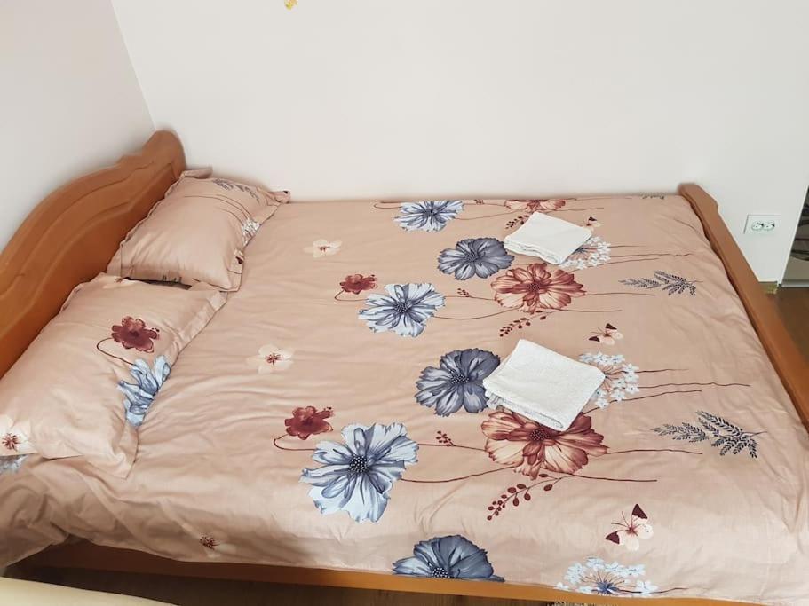 Apartamento Garsoniera Emilia Câmpulung Moldovenesc Exterior foto