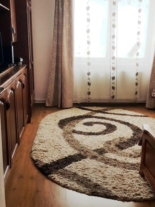 Apartamento Garsoniera Emilia Câmpulung Moldovenesc Exterior foto